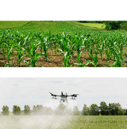 farming1