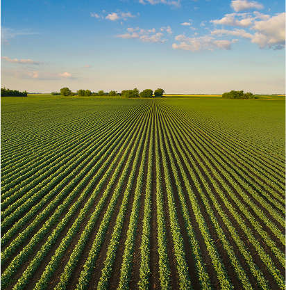 farming1